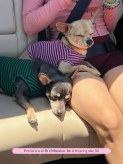 BFF Sleeveless Shirt -Pet Shop littlebeastus bff tank top dog tank top 41841086103838