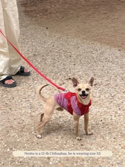 BFF Sleeveless Shirt -Pet Shop littlebeastus bff tank top dog tank top 41841086136606