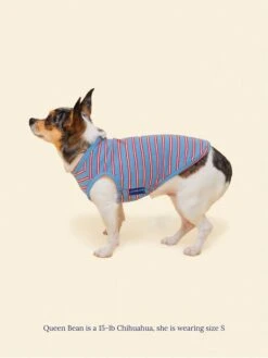 Gone Hiking Sleeveless Shirt -Pet Shop littlebeastus gone hiking tank top dog tank top 41892590092574