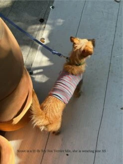 Gone Hiking Sleeveless Shirt -Pet Shop littlebeastus gone hiking tank top dog tank top 41958009078046