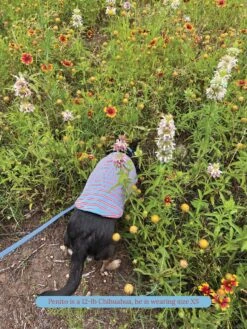 Gone Hiking Sleeveless Shirt -Pet Shop littlebeastus gone hiking tank top dog tank top 42173630873886