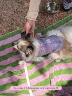 Gone Hiking Sleeveless Shirt -Pet Shop littlebeastus gone hiking tank top dog tank top 42173630906654