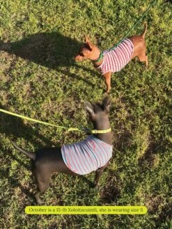 Gone Hiking Sleeveless Shirt -Pet Shop littlebeastus gone hiking tank top dog tank top 42173630939422