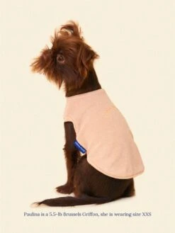 ADEDAS Sleeveless Shirt - Beige -Pet Shop littlebeastus hot girl summer tank top beige dog tank top 41303901962526