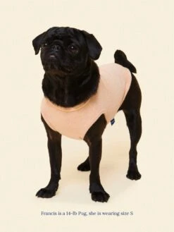 ADEDAS Sleeveless Shirt - Beige -Pet Shop littlebeastus hot girl summer tank top beige dog tank top 41303901995294