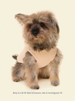 ADEDAS Sleeveless Shirt - Beige -Pet Shop littlebeastus hot girl summer tank top beige dog tank top 41304050696478