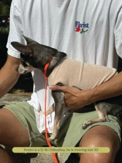 ADEDAS Sleeveless Shirt - Beige -Pet Shop littlebeastus hot girl summer tank top beige dog tank top 41841100161310