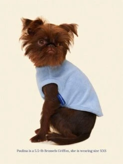 ADEDAS Sleeveless Shirt - Blue -Pet Shop littlebeastus hot girl summer tank top blue dog tank top 41303905403166