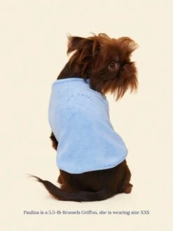ADEDAS Sleeveless Shirt - Blue -Pet Shop littlebeastus hot girl summer tank top blue dog tank top 41324978176286