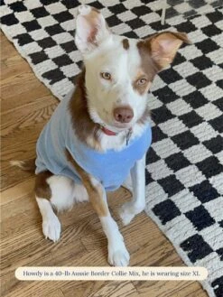 ADEDAS Sleeveless Shirt - Blue -Pet Shop littlebeastus hot girl summer tank top blue dog tank top 41357305413918