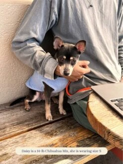 ADEDAS Sleeveless Shirt - Blue -Pet Shop littlebeastus hot girl summer tank top blue dog tank top 41357305872670