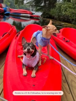 ADEDAS Sleeveless Shirt - Blue -Pet Shop littlebeastus hot girl summer tank top blue dog tank top 41722119913758