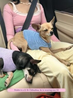 ADEDAS Sleeveless Shirt - Blue -Pet Shop littlebeastus hot girl summer tank top blue dog tank top 41841109565726