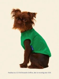 ADEDAS Sleeveless Shirt - Green -Pet Shop littlebeastus hot girl summer tank top green dog tank top 41303910875422