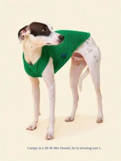 ADEDAS Sleeveless Shirt - Green -Pet Shop littlebeastus hot girl summer tank top green dog tank top 41303922475294