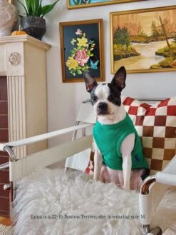 ADEDAS Sleeveless Shirt - Green -Pet Shop littlebeastus hot girl summer tank top green dog tank top 41820178710814