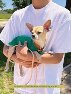 ADEDAS Sleeveless Shirt - Green -Pet Shop littlebeastus hot girl summer tank top green dog tank top 41841117266206