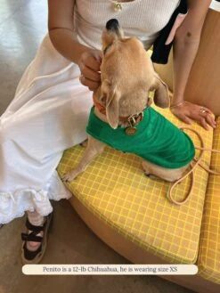 ADEDAS Sleeveless Shirt - Green -Pet Shop littlebeastus hot girl summer tank top green dog tank top 41841117298974