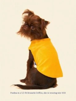 ADEDAS Sleeveless Shirt - Orange -Pet Shop littlebeastus hot girl summer tank top orange dog tank top 41303911661854