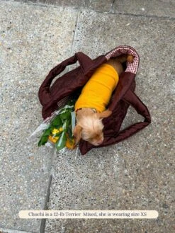 ADEDAS Sleeveless Shirt - Orange -Pet Shop littlebeastus hot girl summer tank top orange dog tank top 41326044021022