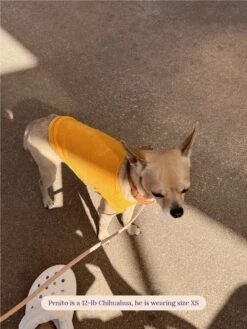 ADEDAS Sleeveless Shirt - Orange -Pet Shop littlebeastus hot girl summer tank top orange dog tank top 41357316292894