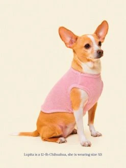 ADEDAS Sleeveless Shirt - Pink -Pet Shop littlebeastus hot girl summer tank top pink dog tank top 41324982108446