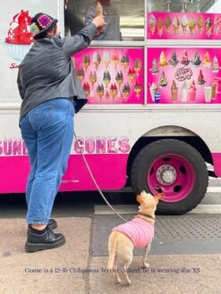 ADEDAS Sleeveless Shirt - Pink -Pet Shop littlebeastus hot girl summer tank top pink dog tank top 41326064697630