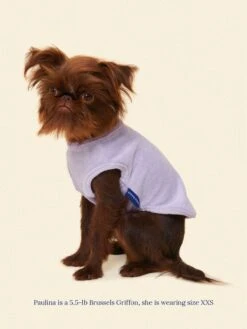 ADEDAS Sleeveless Shirt - Purple -Pet Shop littlebeastus hot girl summer tank top purple dog tank top 41303913038110