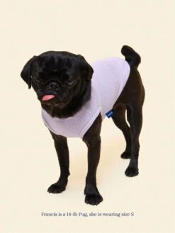 ADEDAS Sleeveless Shirt - Purple -Pet Shop littlebeastus hot girl summer tank top purple dog tank top 41355599249694