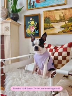 ADEDAS Sleeveless Shirt - Purple -Pet Shop littlebeastus hot girl summer tank top purple dog tank top 41820152693022