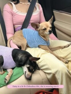 ADEDAS Sleeveless Shirt - Purple -Pet Shop littlebeastus hot girl summer tank top purple dog tank top 41841141973278