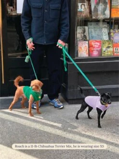 ADEDAS Sleeveless Shirt - Purple -Pet Shop littlebeastus hot girl summer tank top purple dog tank top 41882360217886