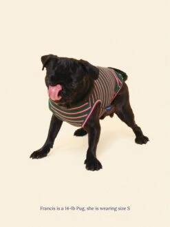 Jalapeño Sleeveless Shirt -Pet Shop littlebeastus jalapeno tank top dog tank top 41892597956894