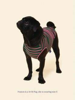 Jalapeño Sleeveless Shirt -Pet Shop littlebeastus jalapeno tank top dog tank top 41892598120734