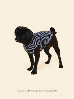 Main Squeeze Sleeveless Shirt 10 Main Squeeze Sleeveless Shirt -Pet Shop littlebeastus main squeeze tank top dog tank top 41892597989662