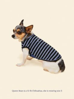 Main Squeeze Sleeveless Shirt 11 Main Squeeze Sleeveless Shirt -Pet Shop littlebeastus main squeeze tank top dog tank top 41892598022430