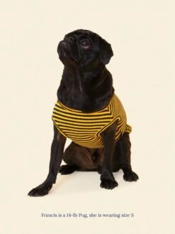 Met On Bumble Sleeveless Shirt -Pet Shop littlebeastus met on bumble tank top dog tank top 41303747756318