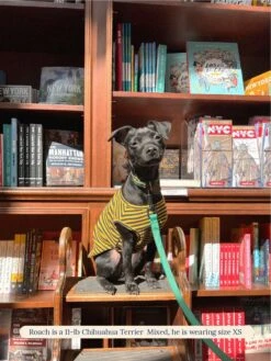 Met On Bumble Sleeveless Shirt -Pet Shop littlebeastus met on bumble tank top dog tank top 41326064173342