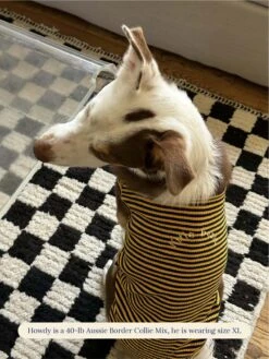 Met On Bumble Sleeveless Shirt -Pet Shop littlebeastus met on bumble tank top dog tank top 41357327466782