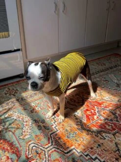 Met On Bumble Sleeveless Shirt -Pet Shop littlebeastus met on bumble tank top dog tank top 41820170879262