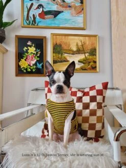 Met On Bumble Sleeveless Shirt -Pet Shop littlebeastus met on bumble tank top dog tank top 41820171272478