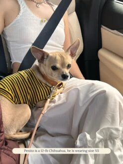 Met On Bumble Sleeveless Shirt -Pet Shop littlebeastus met on bumble tank top dog tank top 41841236279582