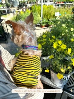 Met On Bumble Sleeveless Shirt -Pet Shop littlebeastus met on bumble tank top dog tank top 41958015893790