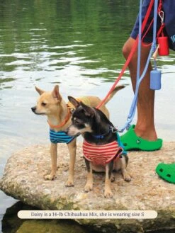 This Or That Sleeveless Shirt 18 This Or That Sleeveless Shirt -Pet Shop littlebeastus this or that shirt dog tank top 41758395728158