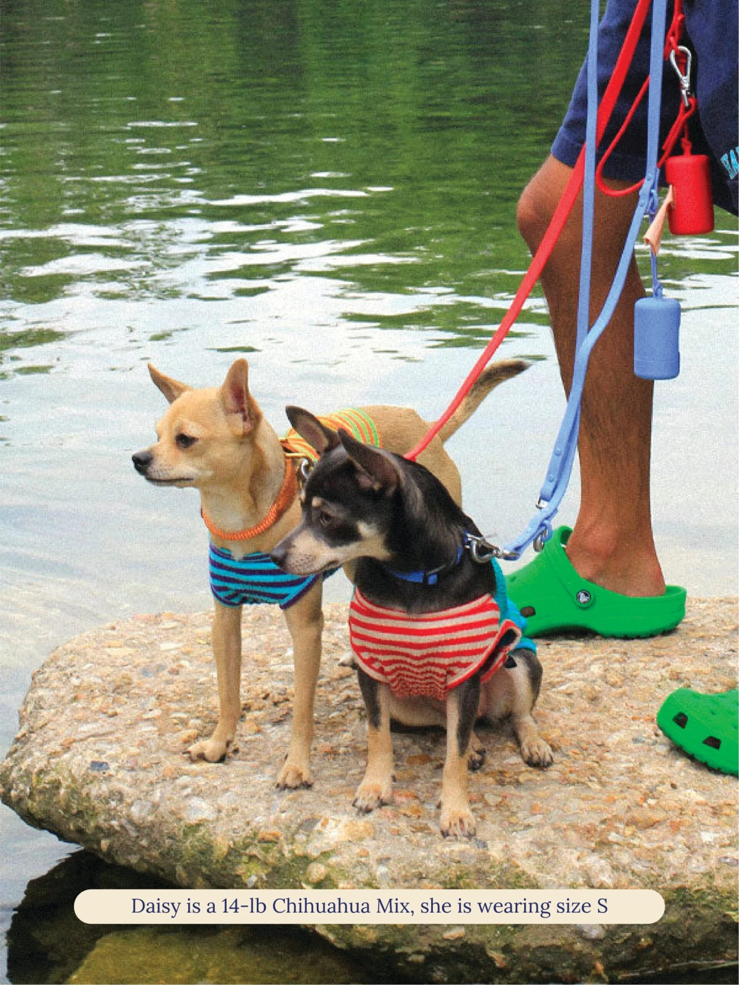 This Or That Sleeveless Shirt 8 This Or That Sleeveless Shirt - Image 6