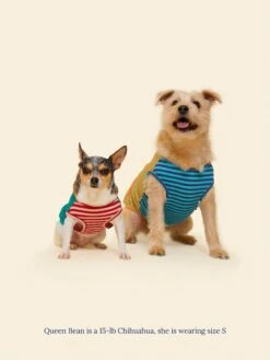 This Or That Sleeveless Shirt 23 This Or That Sleeveless Shirt -Pet Shop littlebeastus this or that shirt dog tank top 41825100759326