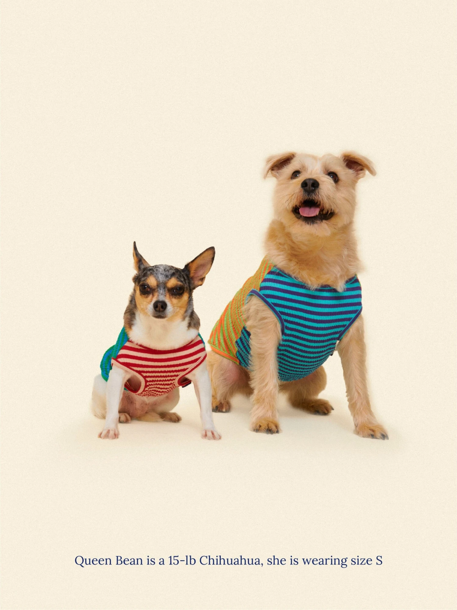 This Or That Sleeveless Shirt 13 This Or That Sleeveless Shirt - Image 11