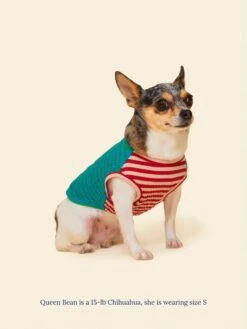 This Or That Sleeveless Shirt 15 This Or That Sleeveless Shirt -Pet Shop littlebeastus this or that shirt dog tank top 41825100824862