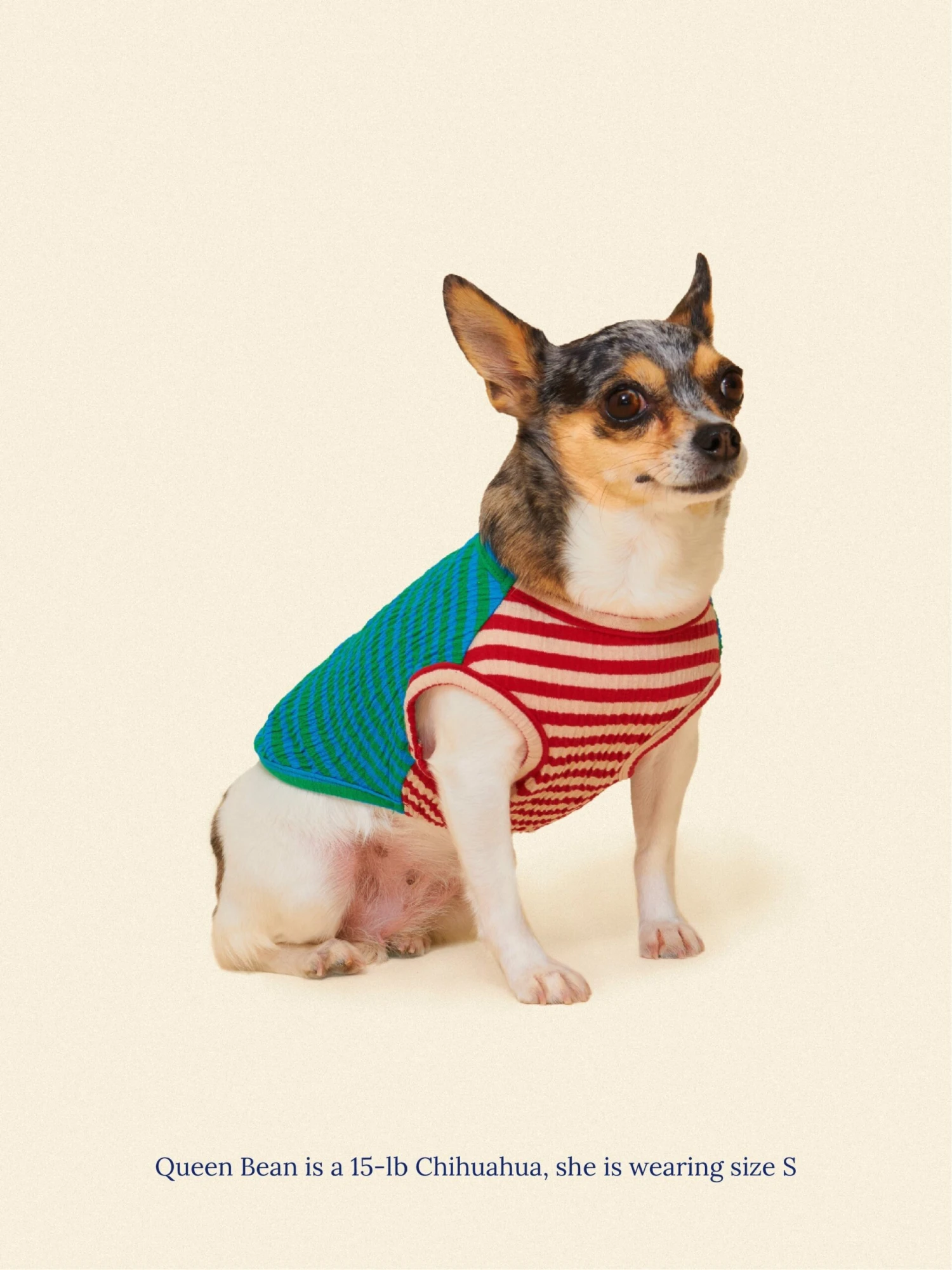 This Or That Sleeveless Shirt 5 This Or That Sleeveless Shirt - Image 3