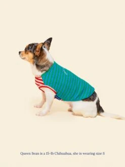 This Or That Sleeveless Shirt 22 This Or That Sleeveless Shirt -Pet Shop littlebeastus this or that shirt dog tank top 41825101447454